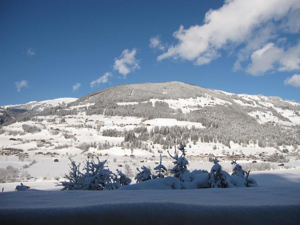 Fasserhof Bramberg am Wildkogel Pokoj fotografie